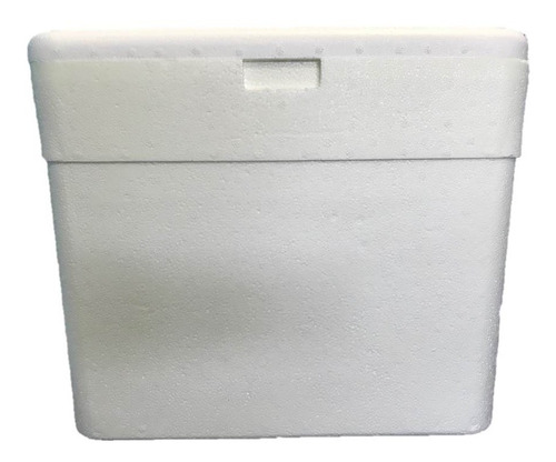 1 Caixa De Isopor - Térmica De 35 Litros - Isoterm Com Alça