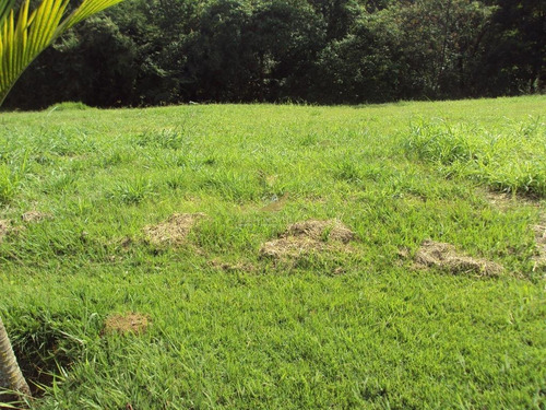 Imagem 4 de 6 de Terreno Residencial À Venda, Condomínio Fazenda Vila Real, Itu. - Te0169