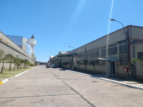Excelente Depósito De 774 M2 En Alquiler En Predio Cerrado, Villa Adelina.