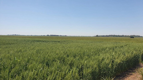 Imagen 6 de 15 de Campo En San Miguel Del Monte - 188 Hectáreas