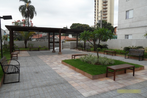 Imagem 20 de 21 de Apartamento Para Alugar - 701_aluguel