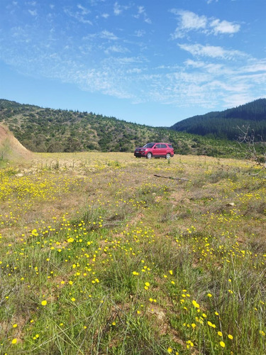 Parcela En Venta En San Javier. 3, 4 Hectáreas