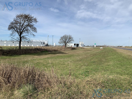 Excelente Campo Agricola De 62,73 Has.