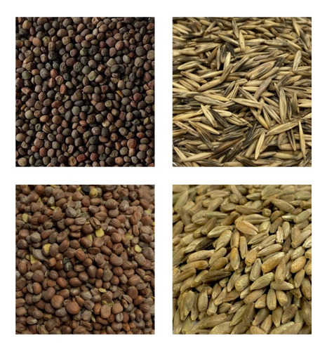 Sementes De Mix(1) Adubação Verde 200gr De Sementes