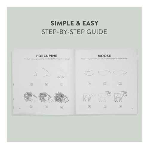 Libro: Mushrooms & Woodland Creatures: How To Draw Books For
