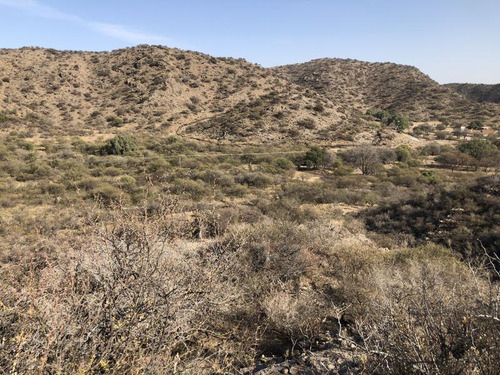 San Francisco Del Monte De Oro, Chacra 40 Hectareas Sobre Ruta , Escritura Inmediata