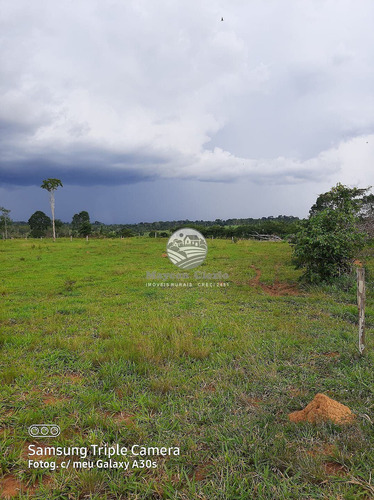 Imagem 10 de 11 de Venda Sítio Vale Do Anari Em Rondônia - Sig309