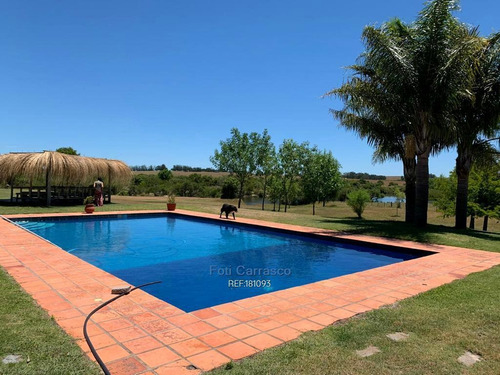 Imagen 2 de 12 de Chacra En Jose Ignacio 47 Hectareas Cw181093