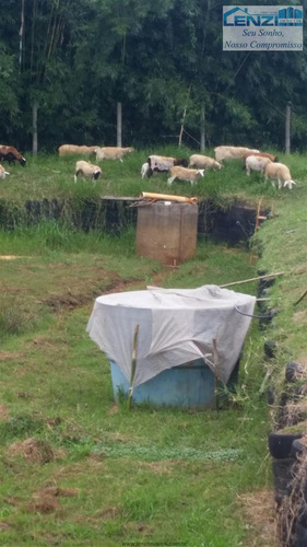 Imagem 21 de 29 de Chácaras À Venda Em Bragança Paulista/sp - Compre O Seu Chácaras Aqui! - 1409023