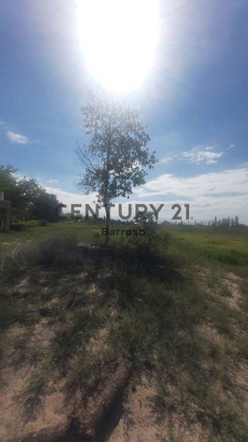 Imagen 11 de 15 de Gran Terreno En Venta En Junin De Casi 10.000 Metros