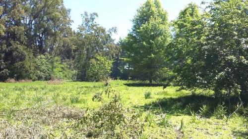 Imagen 4 de 4 de Lotes De 300mts2 En Barrio Parque Altos De Garin