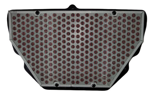 Filtro Aire Honda Cbr600f4 99-00
