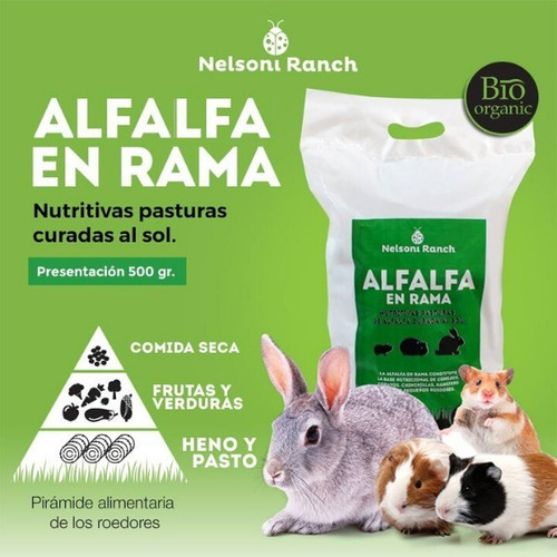 Imagen 6 de 9 de Alfalfa / Heno En Rama 500g Para Cobayo Conejo Nelsoni Ranch