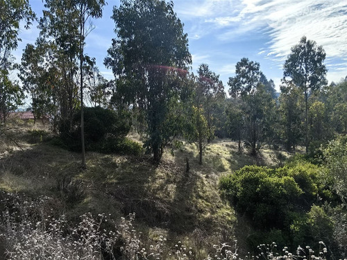 Terreno En Venta En Comuna De Navidad, 5.000 M2, Vi Región,