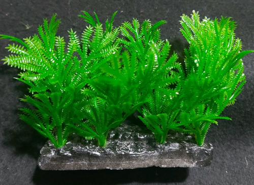 Adorno, Planta Artificial Imp. Pecera/terrario,jardín 12cm L