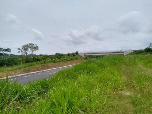 Venta Rancho 109 Has Autopista A Tampico En Tamiahua Veracruz