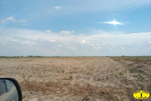 Imagen 7 de 14 de 2404ga- Excelente Campo Mixto, Riego Permanente Para 250 Ha