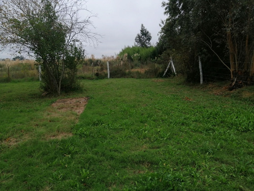 Imagen 6 de 16 de Casa De 3 Dormitorios En Venta En Pando