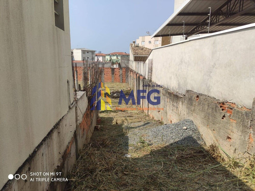 Imagem 2 de 11 de Terreno De 564 M² Jardim Europa - 10329