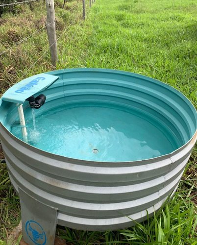 Bebedouro Australiano 750l Galvão