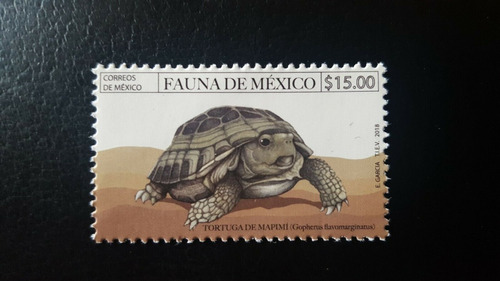 México 2018 : Fauna , Tortuga Mapimi , Conservemos Especies