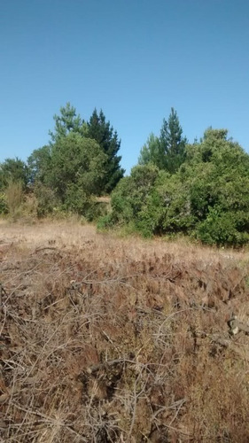 Terreno En Venta - Predio Las Pitras, Nacimiento, Bio Bio
