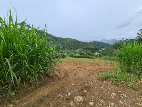 Imagem 10 de 13 de Belíssimo Sítio Localizado Em Pomerode, Bairro Ribeirão Souto, Com Área De 49.000 Metros Quadrados, Nascente De Água Dentro Do Terreno, Casa De Madeira, Galpão, Rancho Para Gado, Totalmente Cercad