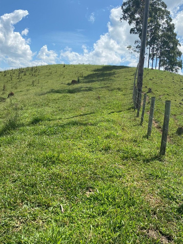 Imagem 14 de 21 de K06- Tenho O Terreno Que Você Procura