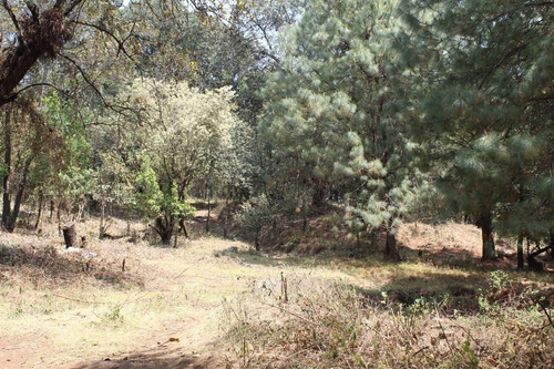 Imagen 3 de 10 de Terreno En Paraje Tetecuintla, Huitzilac, Morelos.