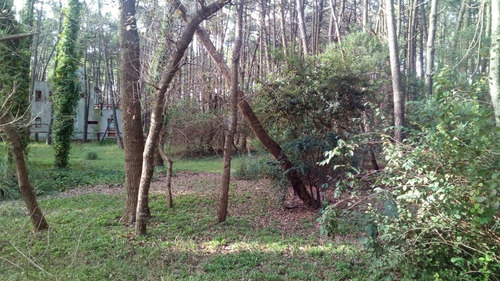 Imagen 8 de 8 de Terreno En Venta En Mar Azul