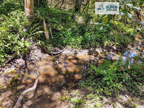Imagem 14 de 23 de Chácara A Venda No Bairro Cascata Em Pelotas - Rs. - 1534-1