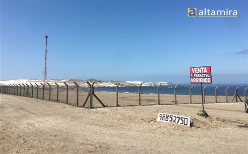 Imagen 6 de 17 de Sitio En Arriendo En Iquique
