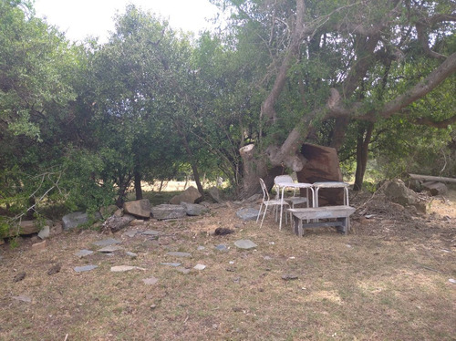 Campo Con Casa Y Arroyo, Buena Vista, Excelente Punto