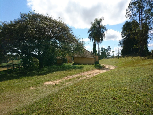 Imagem 8 de 10 de Haras À Venda Em Itapetininga/sp - Ha00009 - 68917223