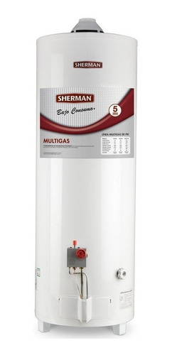 Termotanque A Gas Sherman By Rheem De Pie 80 Lts C. Superior