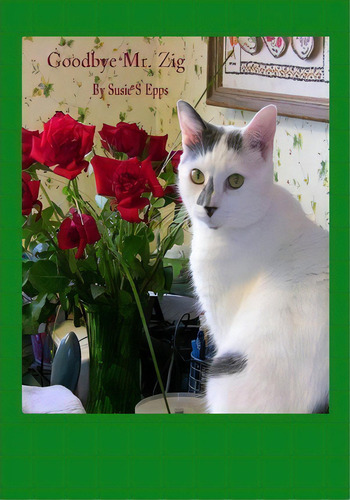 Goodbye Mr. Zig, De Susie S Epps., Vol. 1. Editorial Createspace Independent Publishing Platform, Tapa Blanda En Inglés, 2013