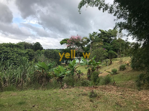 Imagem 3 de 18 de Terreno - Jardim Aracy - Te-1614