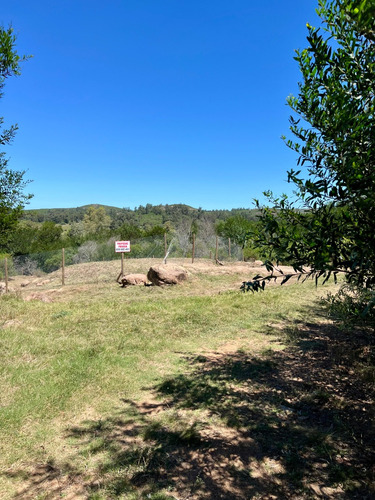 Terreno Sierra Del Tirol, Piriápolis, Maldonado, Uruguay