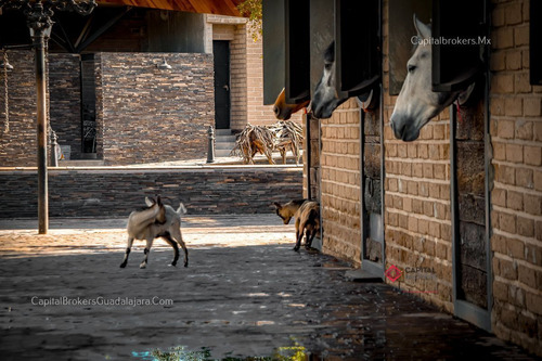 Rancho De Lujo Con Picadero Y Salon De Eventos En El Sur De Zm Guadalajara