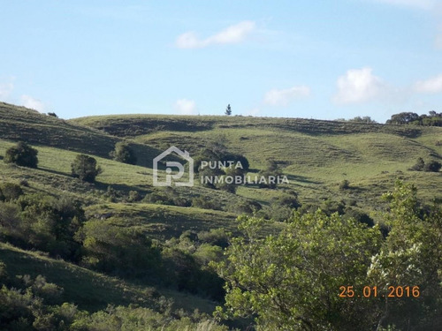 Imagen 21 de 30 de Venta Chacra 96has En Minas, Lavalleja