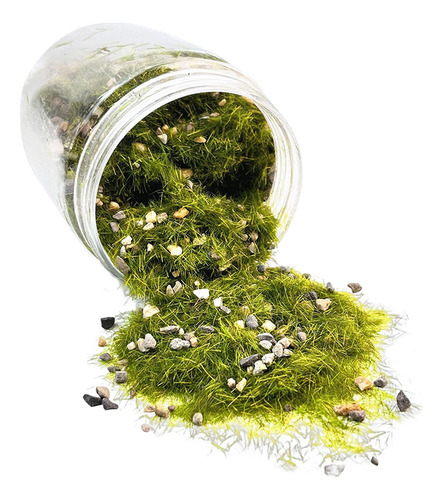 Li Miniaturas De Césped Artificial: Paisajes De Hadas De