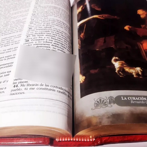 Sagrada Biblia + Rezos Y Oraciones + El Libro De La Virgen