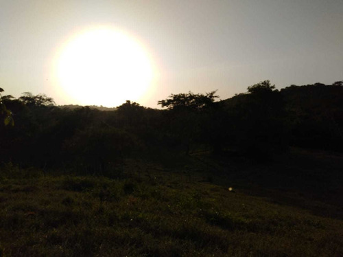 Imagen 6 de 25 de Finca En Venta Villanueva Bolivar