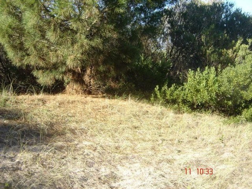 Imagen 1 de 2 de Terreno En Venta En Las Gaviotas