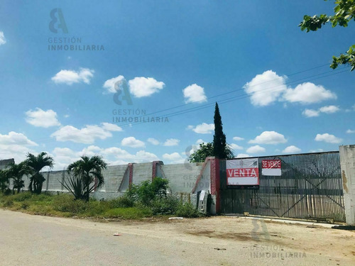 Imagen 2 de 6 de Terreno En Venta En San José Tecoh, Mérida, Yuc. Ctv57.