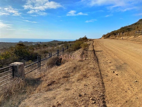Imagen 2 de 10 de Sitio En Venta En La Ligua