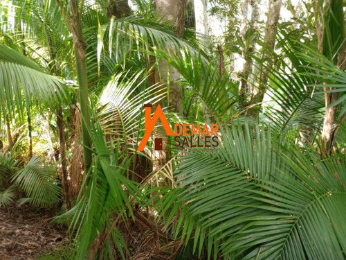Imagem 30 de 30 de Chacara - Ch00120 - 70787182