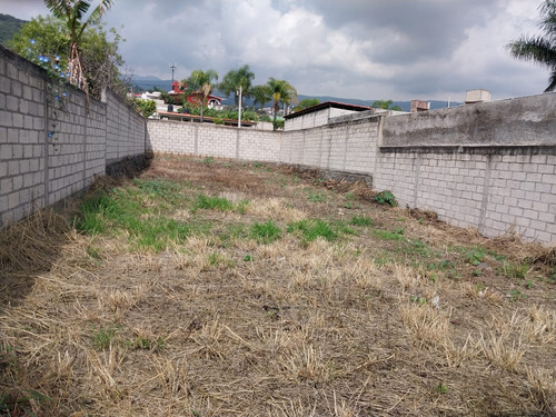 Venta Terreno Ahuatepec Col. El Copalito