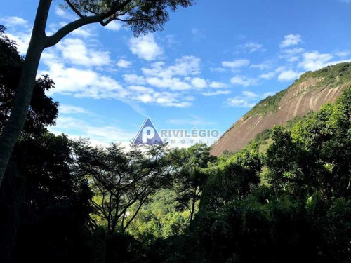 Imagem 2 de 17 de Terreno No Cosme Velho - 12131