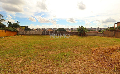 Imagem 1 de 6 de Terreno Á Venda E Para Aluguel Em Jardim Das Paineiras - Te005104